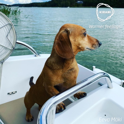 Onni, un chien qui adore l'eau | Kirami - Warmer feelings