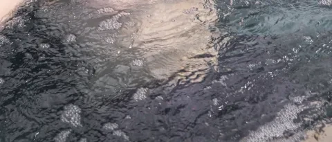 Premium Steady M Flow