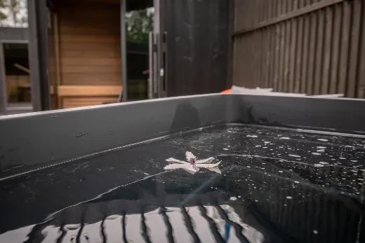 Premium NordicIce S Dual TW-DeepBlack, Gray