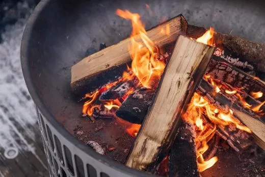 Barbecue Outstanding Iron Monster